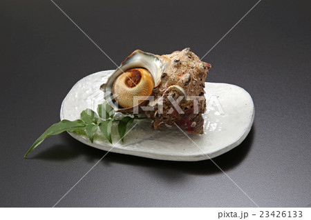 食材　貝　海鮮　サザエ　鮮魚　新鮮　食べ物　皿盛り　　 23426133