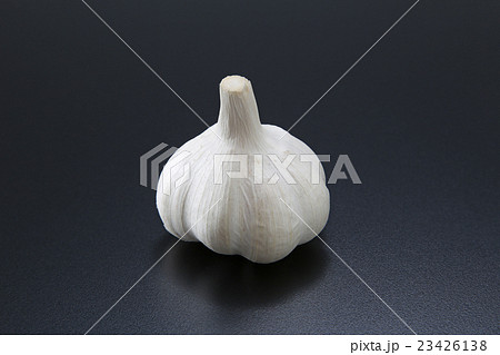野菜　食品　にんにく　薬味　スパイス　食材　 23426138