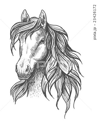 Gray Horse Head Sketch' Sticker | Spreadshirt