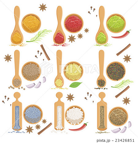 Powdered Spices Bowl And Corresponding Spoon Setのイラスト素材