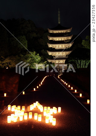 瑠璃光寺　山口ゆらめき回廊 23427556