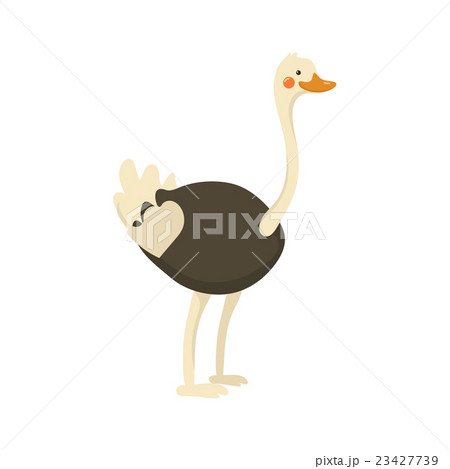 Ostrich Realistic Childish Illustration 23427739