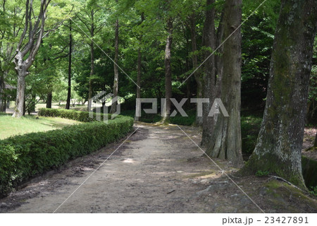 小鳥の森(三徳園) 初夏の木漏れ日の遊歩道 岡山県岡山市東区 小鳥の森(三徳園) 初夏の木漏れ日の遊歩道 岡山県岡山市東区 23427891