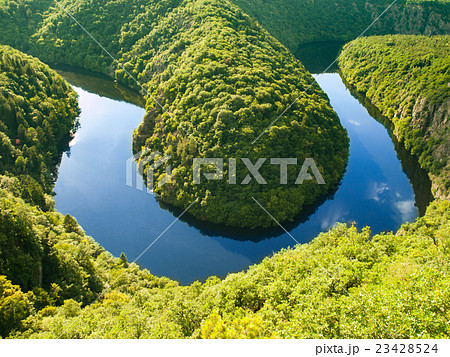 Vltava river forest meander in Czech Republic 23428524
