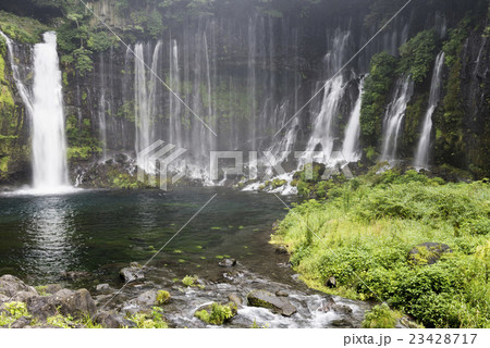 夏の白糸の滝 23428717