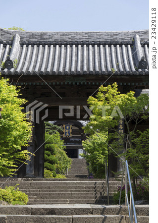 新緑の晧臺寺総門(勅額門) 新緑の晧臺寺総門(勅額門) 23429118