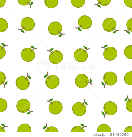 seamless pattern with orange fruit 23430290