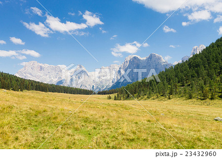 Beautiful alpine panorama 23432960