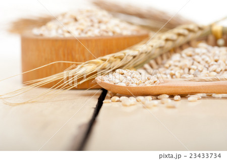 organic wheat grains 23433734
