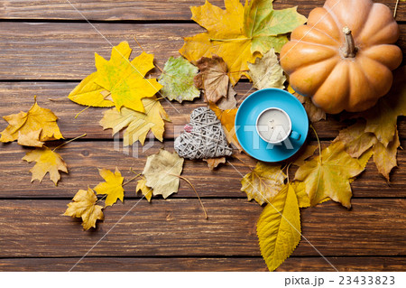 fallen leaves, pumpkin, toy and cup of coffee fallen leaves, pumpkin, toy and cup of coffee 23433823