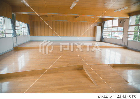 School life  23434080