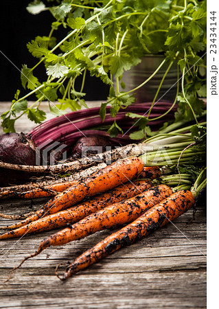 Fresh organic vegetables Fresh organic vegetables 23434144