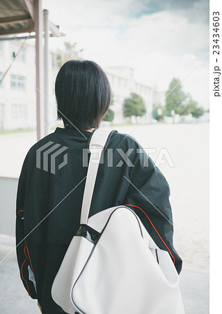 School life  23434603