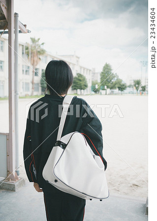 School life  23434604