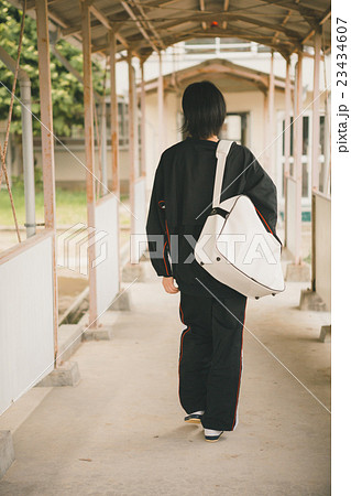 School life School life 23434607