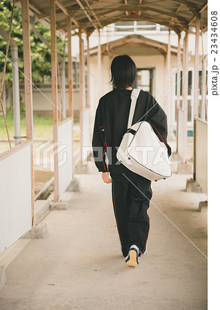 School life  23434608