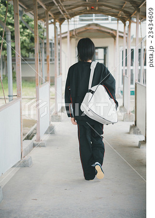 School life School life 23434609