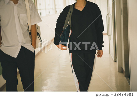 School life  23434981
