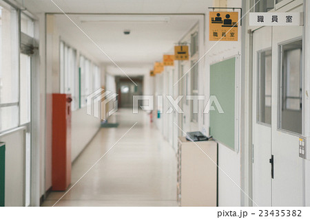 School life  23435382