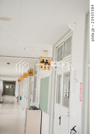 School life School life 23435384