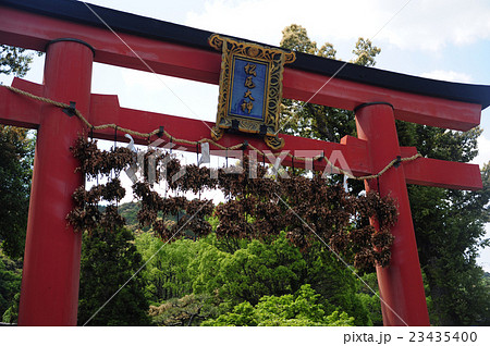 松尾大社の鳥居-2 23435400