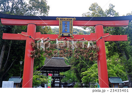 松尾大社の鳥居-3 23435401