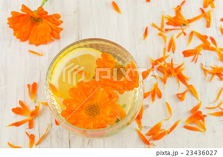 marigold flower herbal tea with lemon slices 23436027