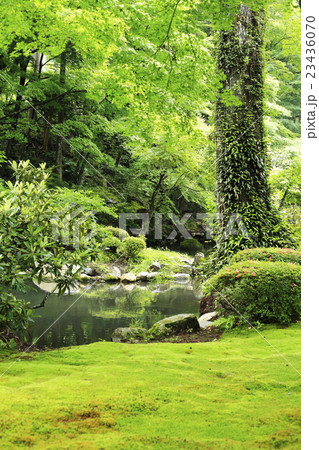 日本庭園 23436070