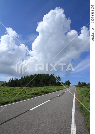 高原の道 高原の道 23436324