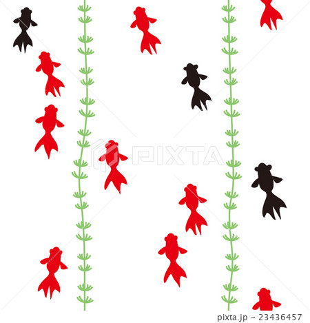 金魚と水草の模様 23436457