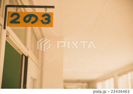 School life  23436463