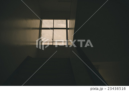 School life  23436516