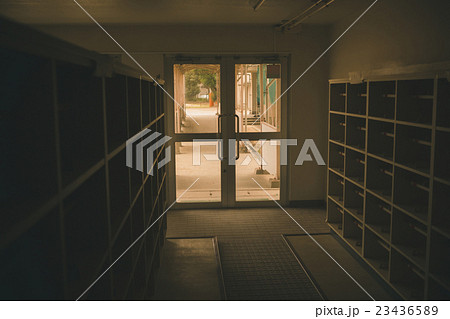 School life  23436589