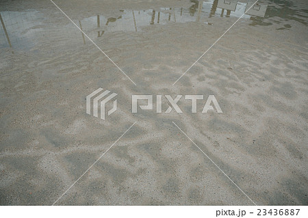 School life School life 23436887