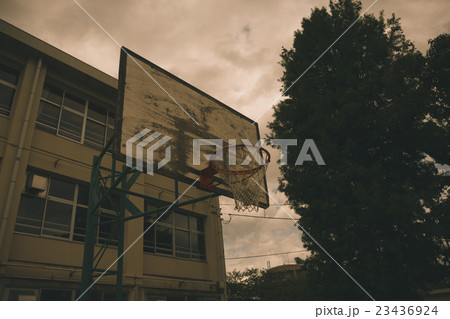School life  23436924
