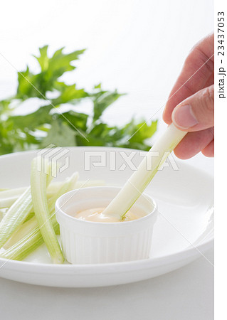 セロリ 23437053