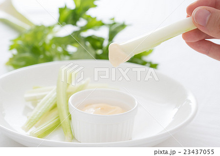 セロリ セロリ 23437055