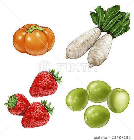 フルーツ 果物 果実 23437186
