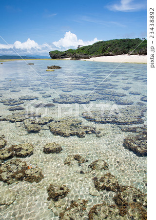 沖縄の海 23438892