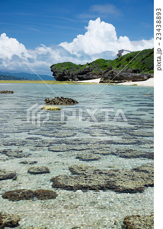沖縄の海 23438893