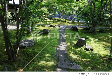 信州の苔寺 信州の苔寺 23439094