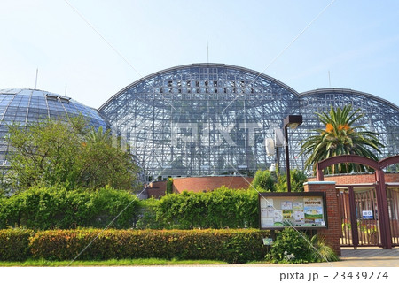 東京都立夢の島熱帯植物館 23439274