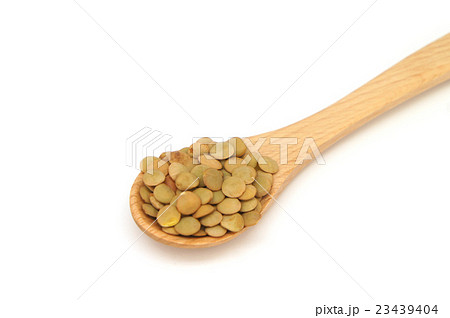 緑レンズ豆 23439404