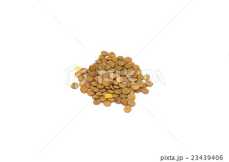 緑レンズ豆 23439406