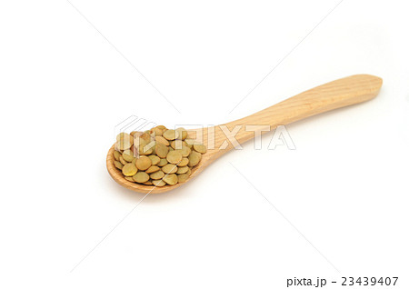 緑レンズ豆 緑レンズ豆 23439407