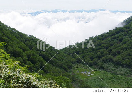 妙高山・長助池 妙高山・長助池 23439487