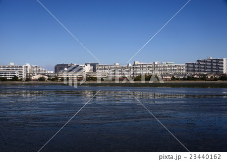 谷津干潟 23440162