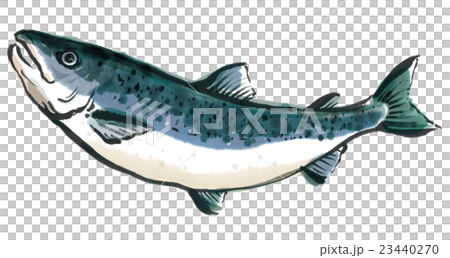 三文魚  23440270