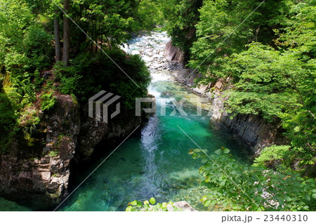 阿寺渓谷犬帰りの淵 阿寺渓谷犬帰りの淵 23440310
