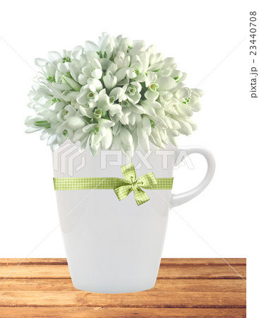 Beautiful snowdrops in cup on table on white 23440708
